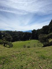 Leidy Quirós Padilla