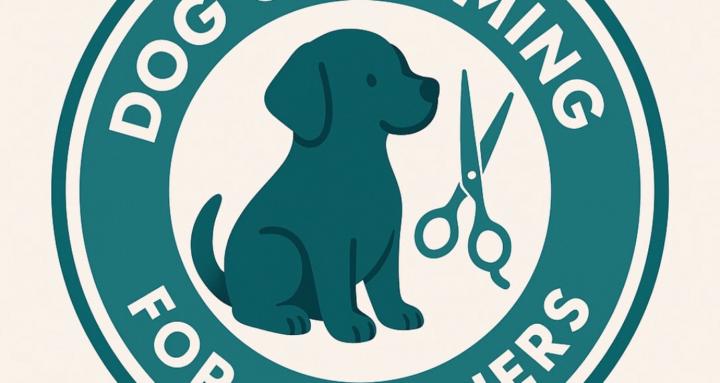 Dog Grooming For Beginners