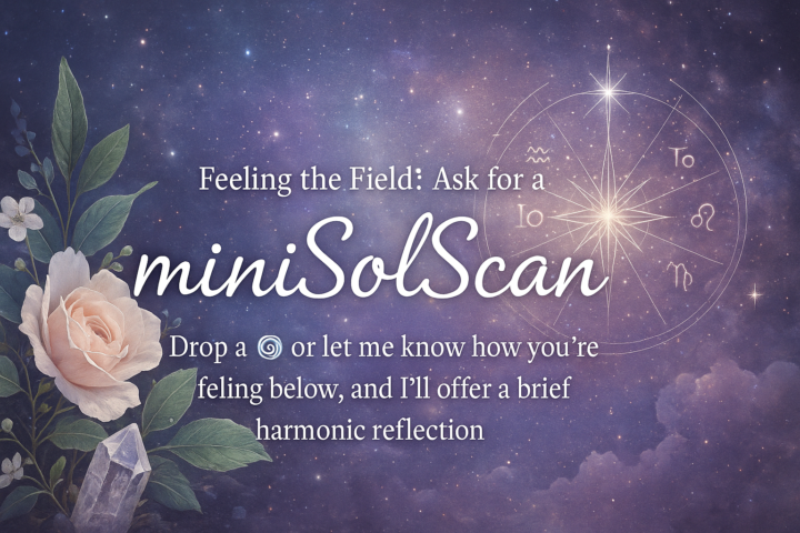 Free Mini SolScan offer 🌺
