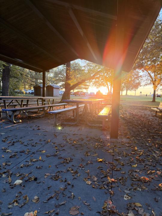 🌍 Harmonic Field Tension Report