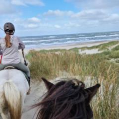 Dajana Schmitz-Meurer