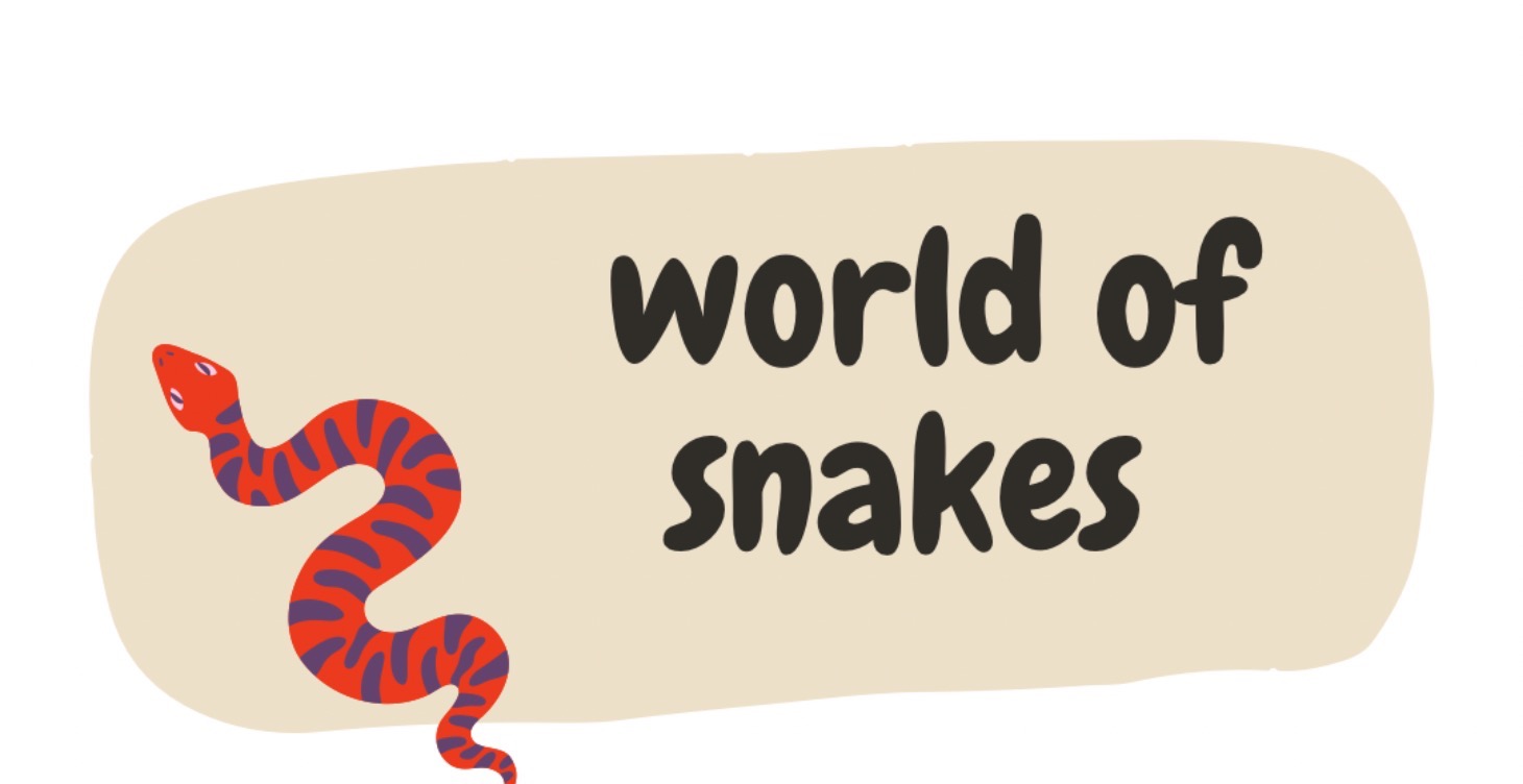 World of Snakes 🐍 FREE