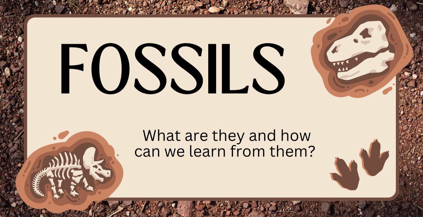 Fossils FREE