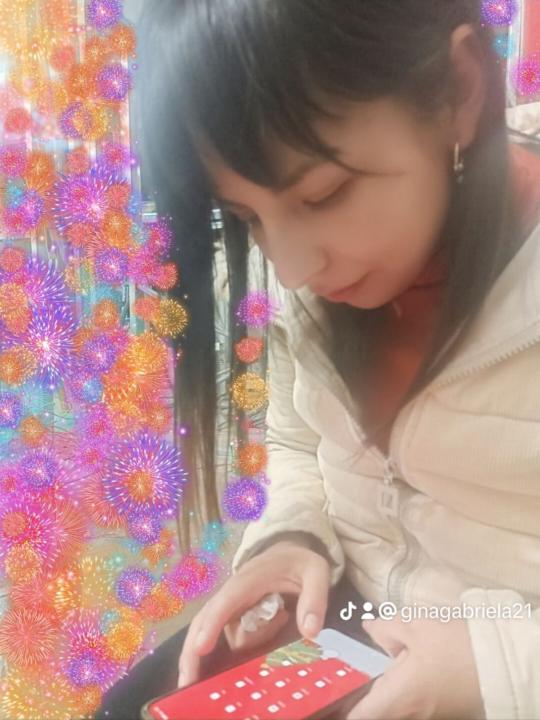 Gina Gabriela Apumayta López