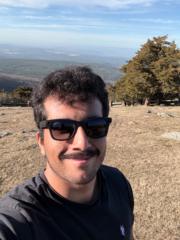 Ali Rajabi