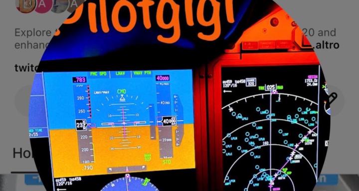 Flying the 737