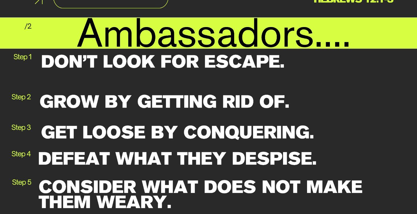 Sent To Rule: Forging Kingdom Ambassadors