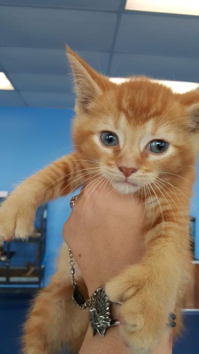 Today broke my heart open — and this is the real truth about manifesting.