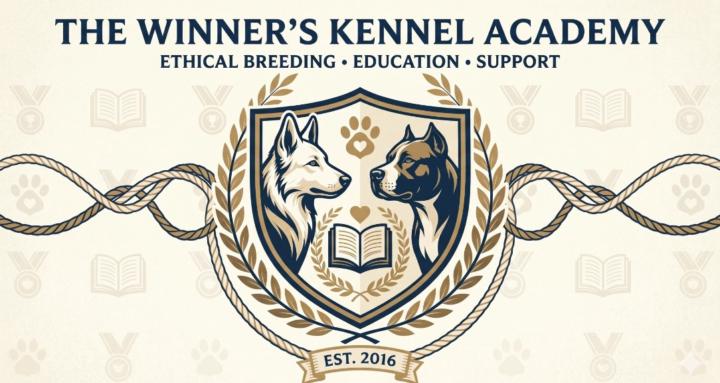 The Winner’s Kennel Academy