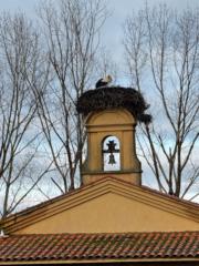 Susana Rodriguez Diaz