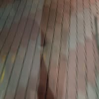 성동 김