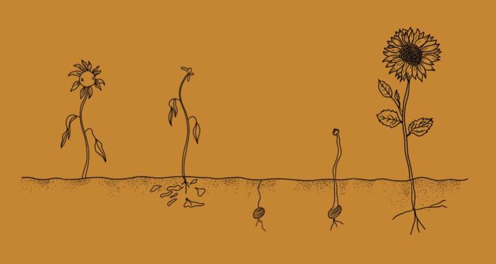 Bloom Beyond Perfectionism