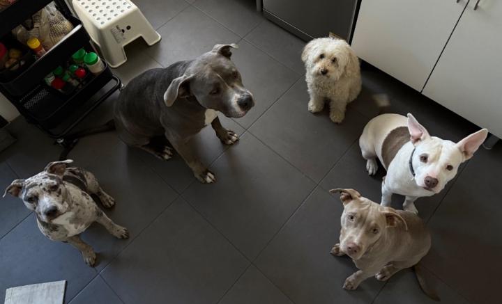 Adrián Del Castillo