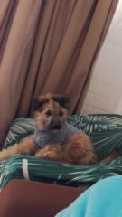 Wilkeylis Noreth Ruiz Rodriguez