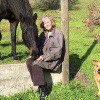 Carole Hale