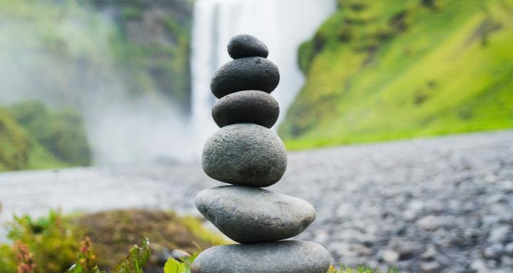 🌿 Grounded In Grief