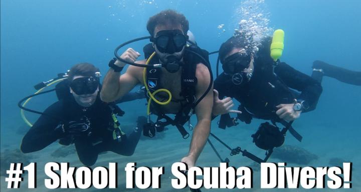Dive Club