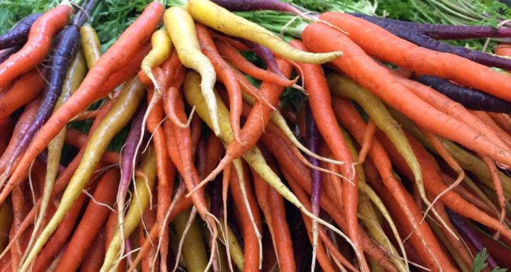 Growing food and herbs