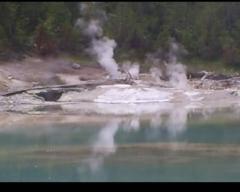 Andrea Paola Lozano Rodríguez