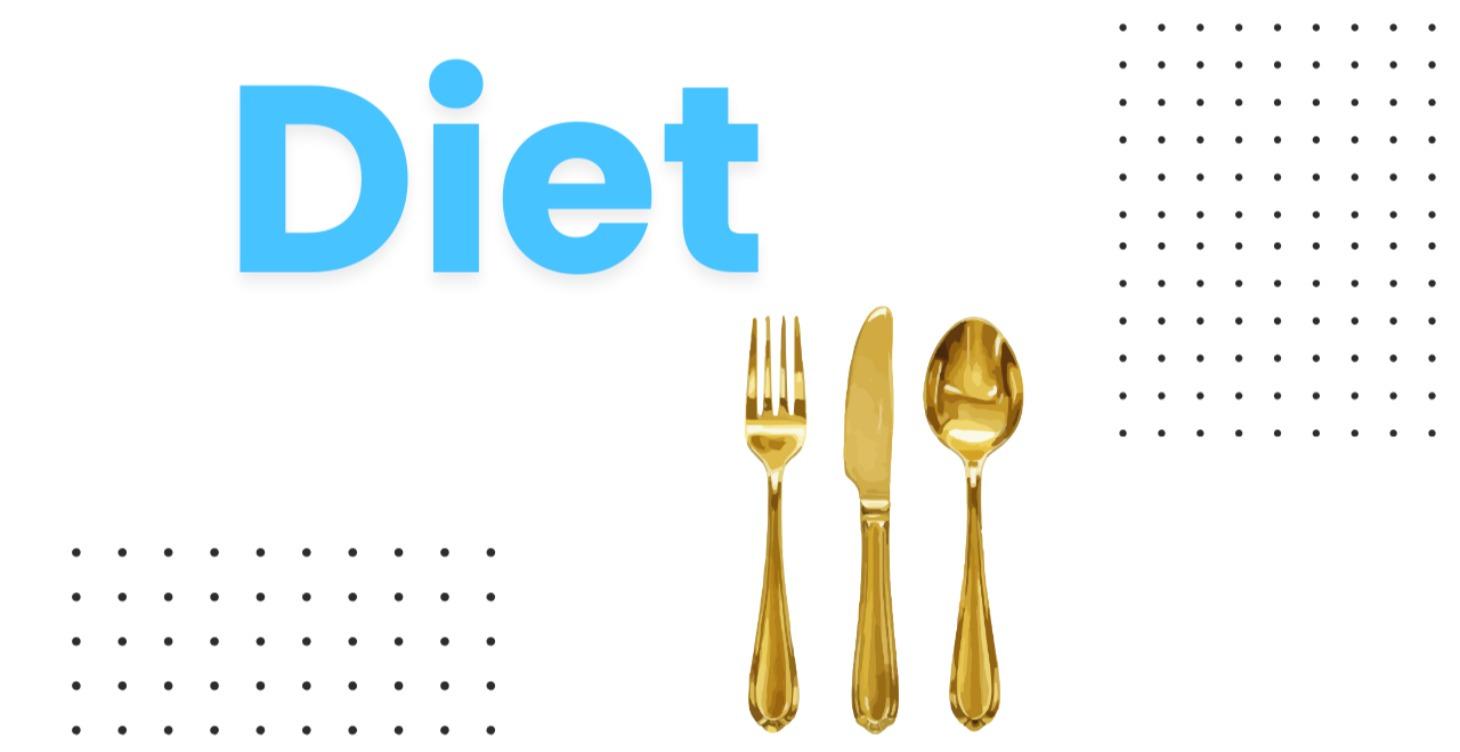🍽️ Diet