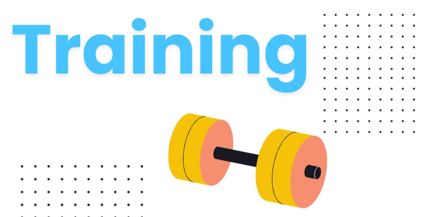 🏋️‍♂️ Training
