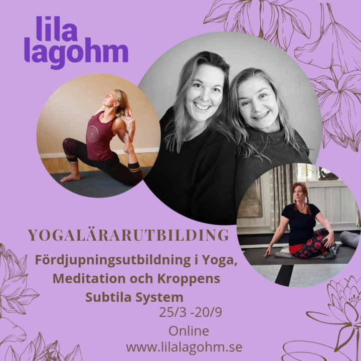 Utbilda dig till yogalärare 