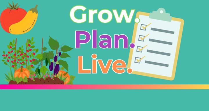 Grow Plan Live