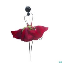 Баярмаа Авирмэд