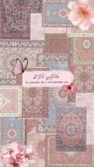 Ayesha Noureen