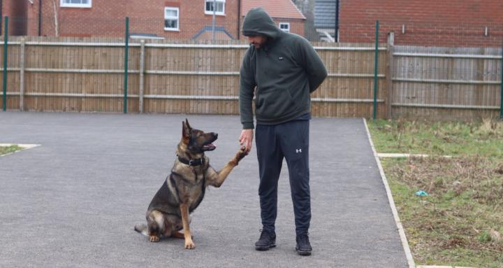 Engage Dog Training Academy 