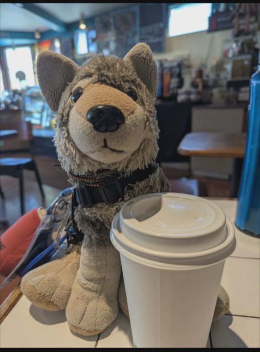 Helo Risers, and those Plussers.