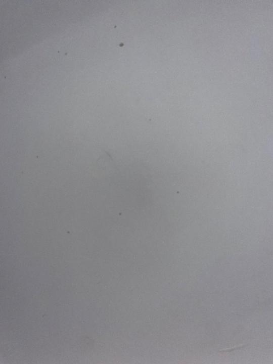 Bergada du Cadet Eloise