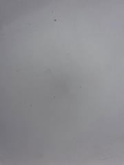 Bergada du Cadet Eloise