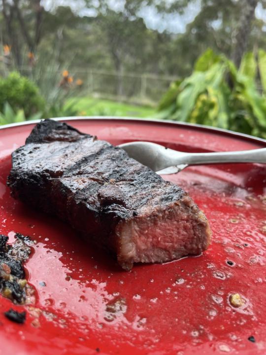 Just had a mad steak for lunch 