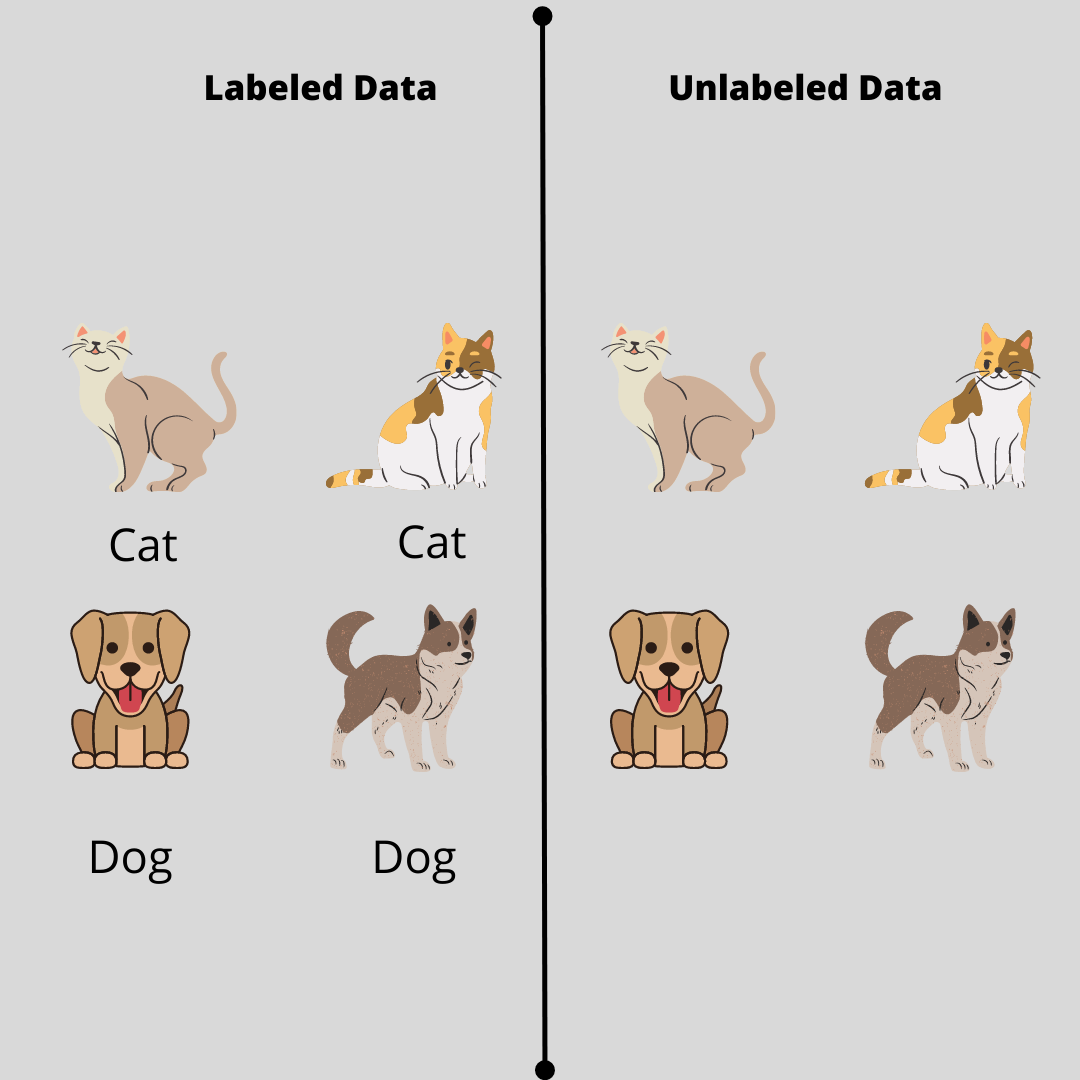 image (9).png
