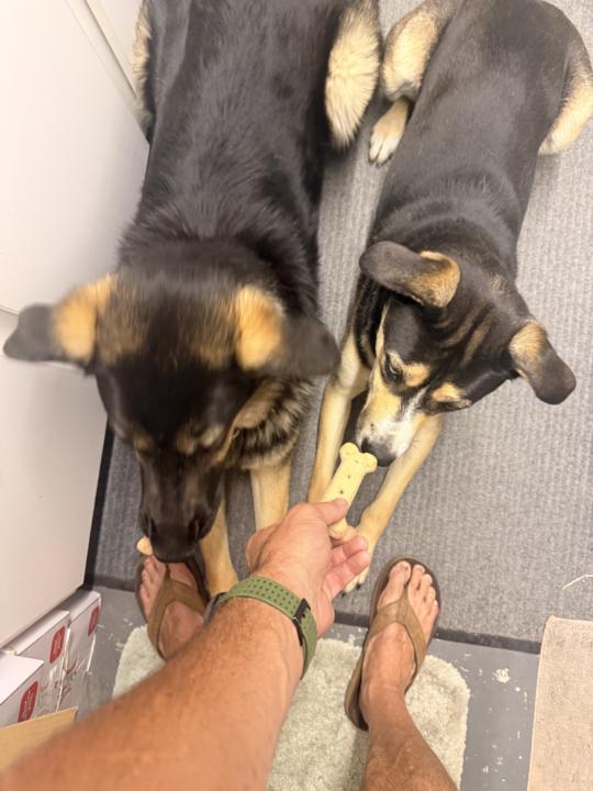 7/13 Morning Roll Call