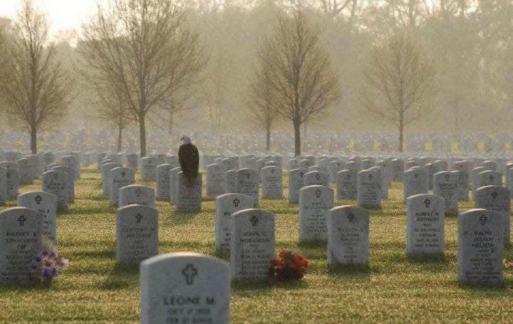 5/25 Happy Memorial Day 