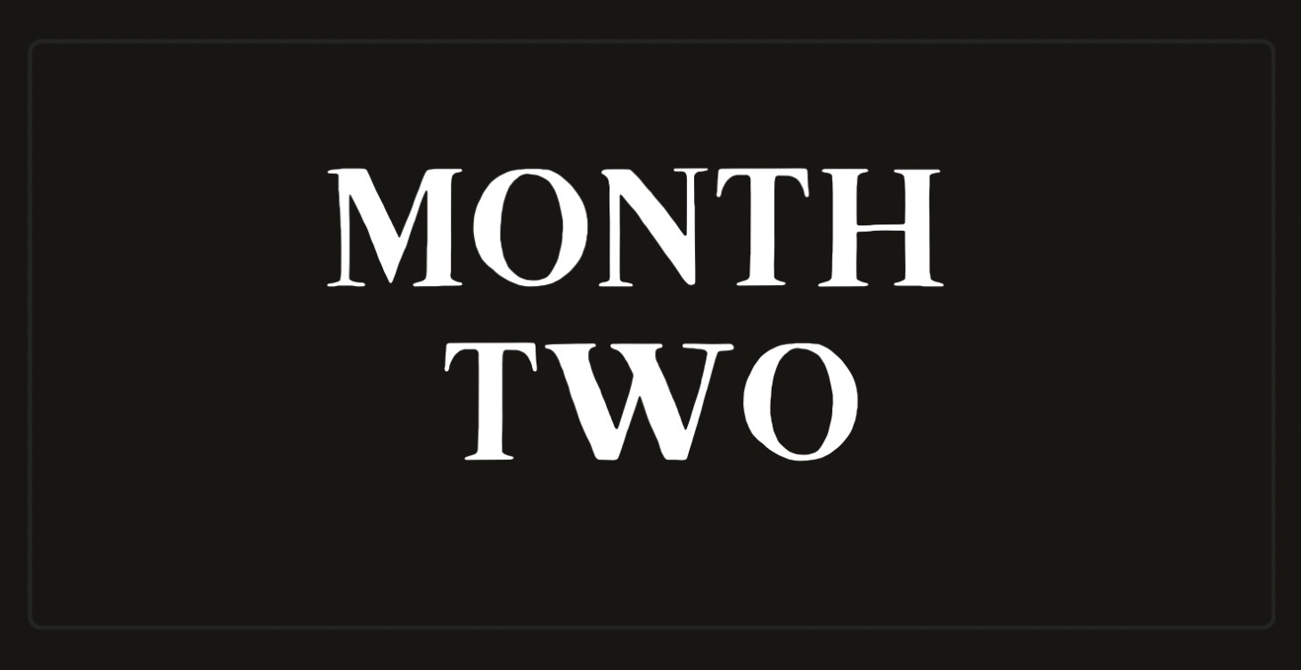 Month 2 - Using Ai for Facebook Ads