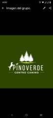 Pinoverde Centro canino
