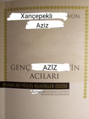 Aziz Cetin