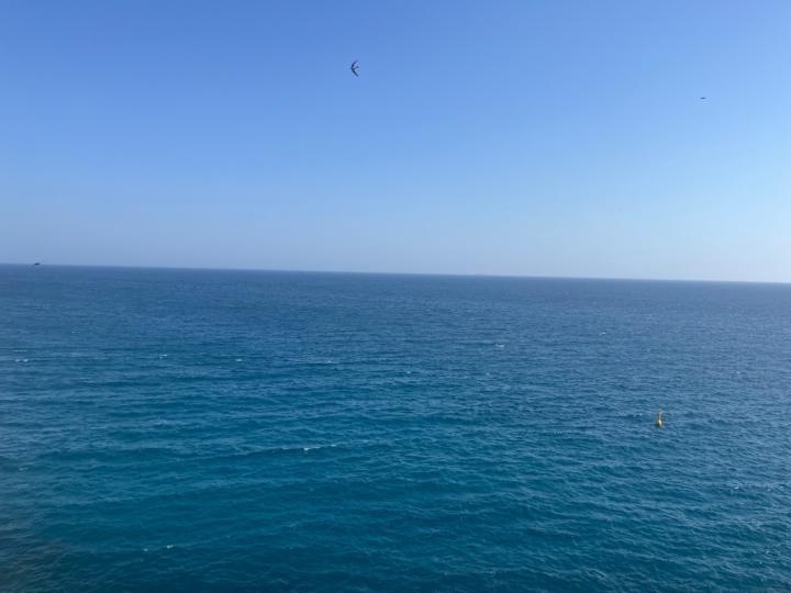 Jakab-Horváth Júlia