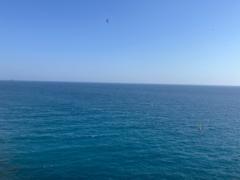 Jakab-Horváth Júlia