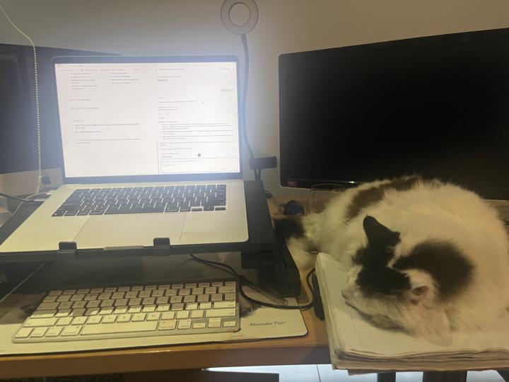 My terrible working conditions