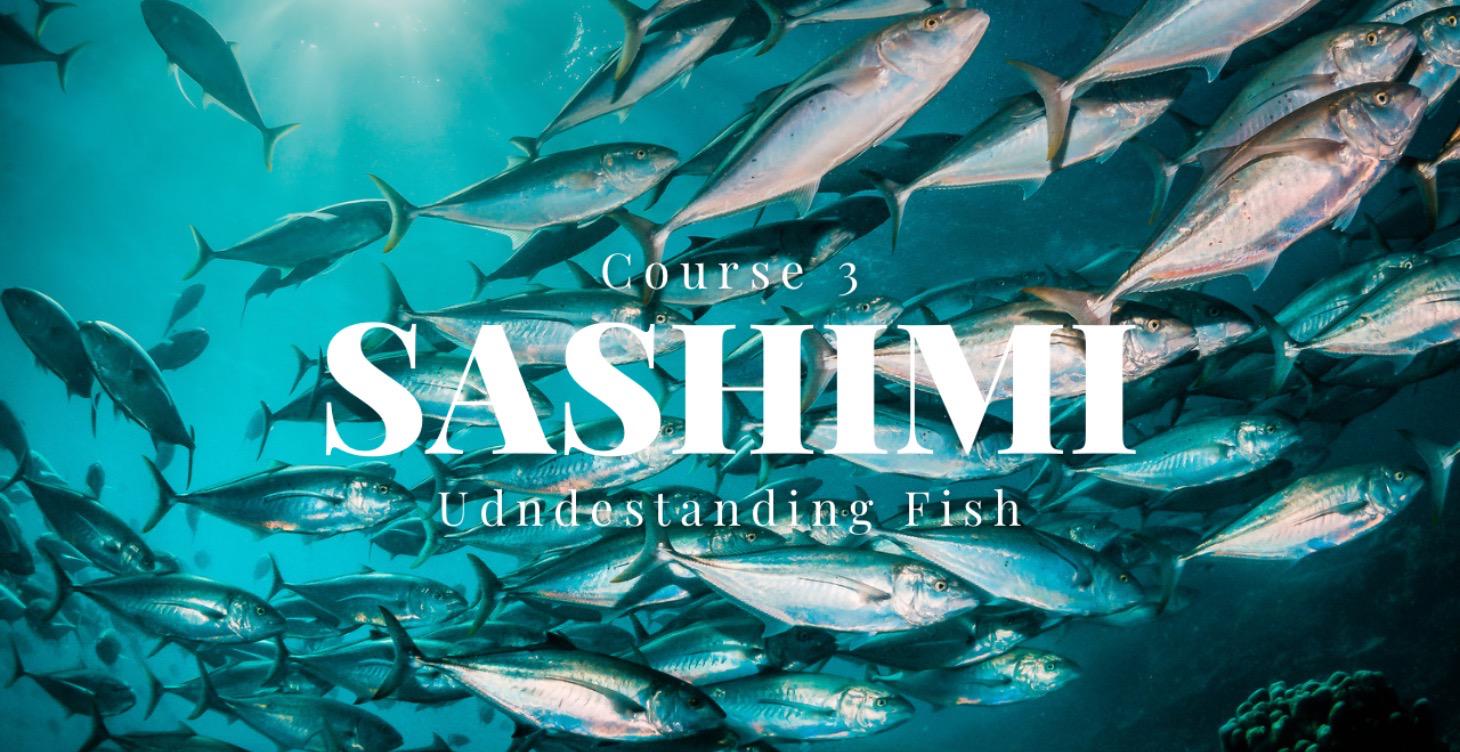 COURSE 3 — Understanding Fish & Sashimi