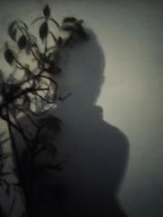 Soledad Huertas prestisimone