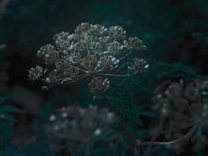 Aeon Unknown