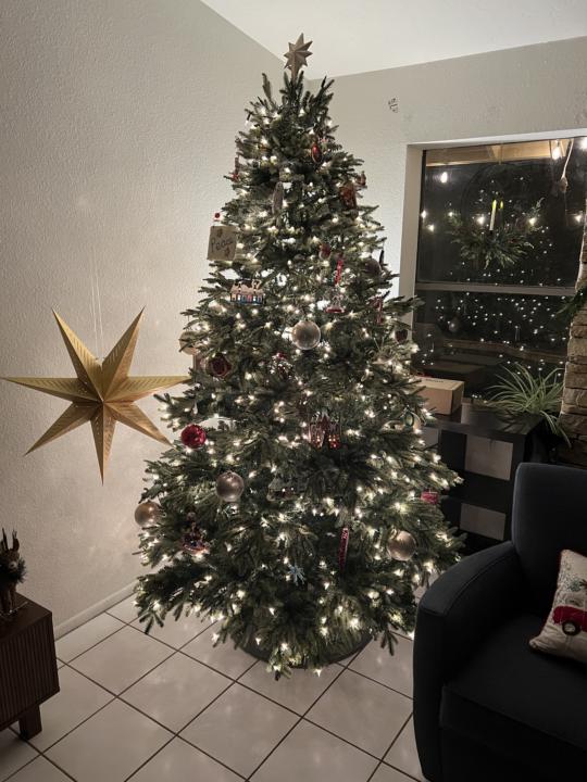 Are your Christmas decorations up? 🎄