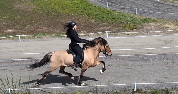 How to ride Icelandic horses