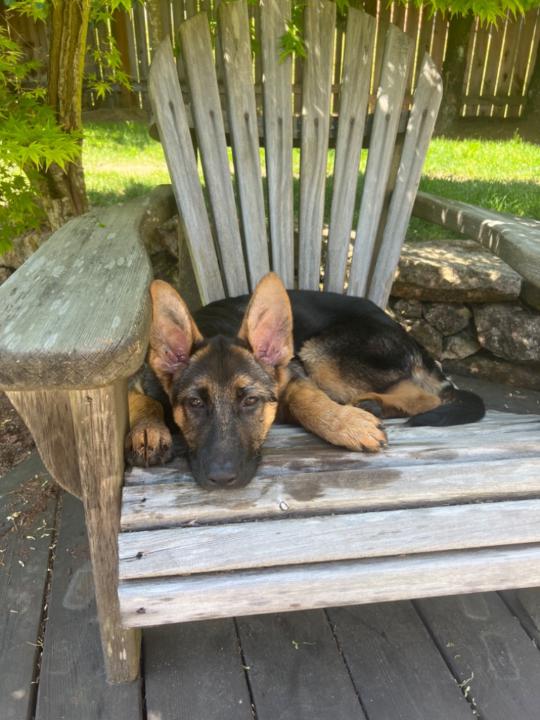 Sj Granholm