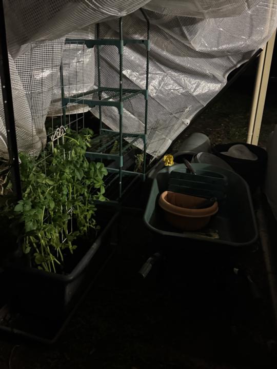 Chat has been helping me with my veggie garden